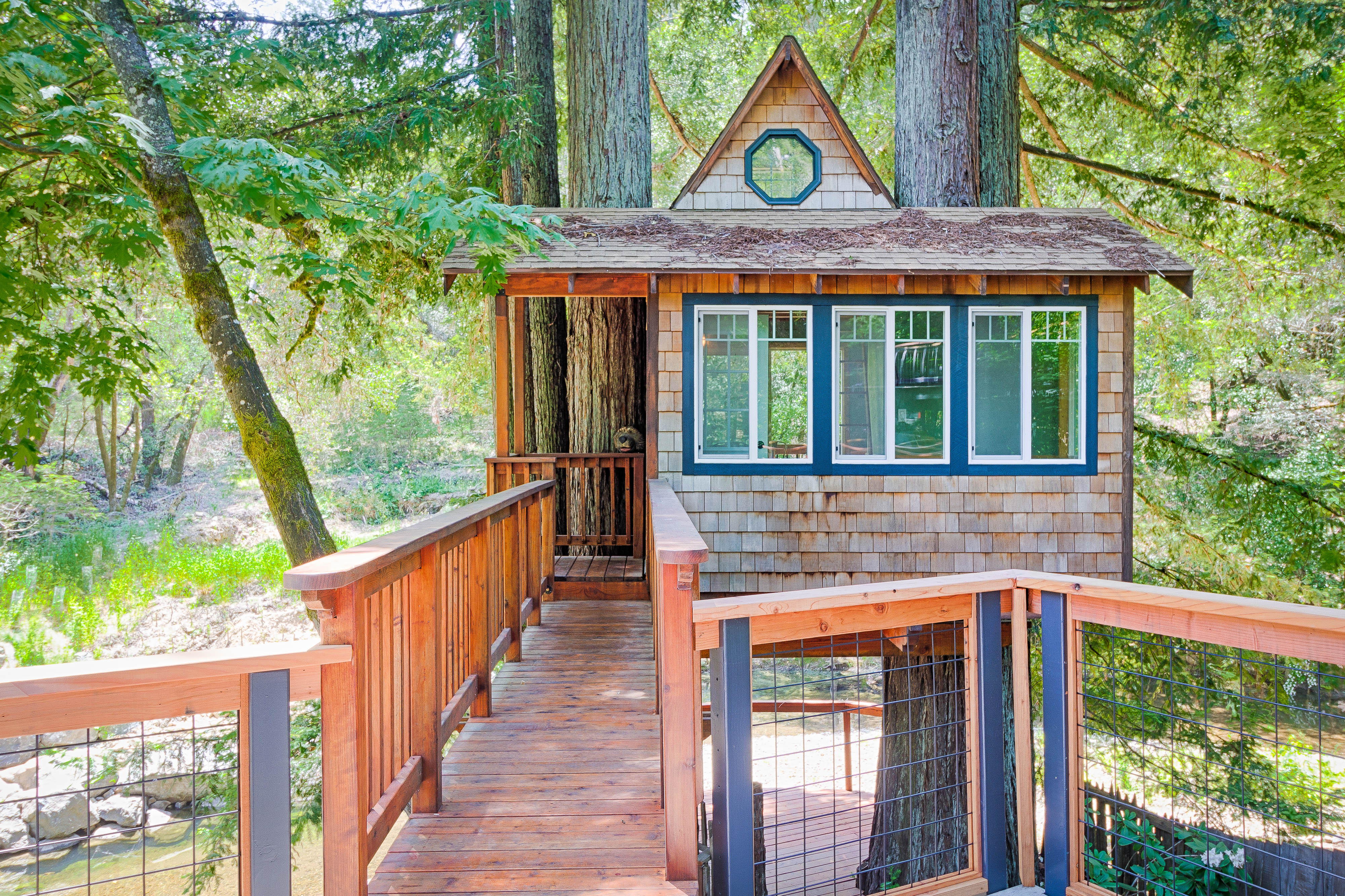 The treehouse in the redwoods at Starlight Grove — retained in the rebuild.
