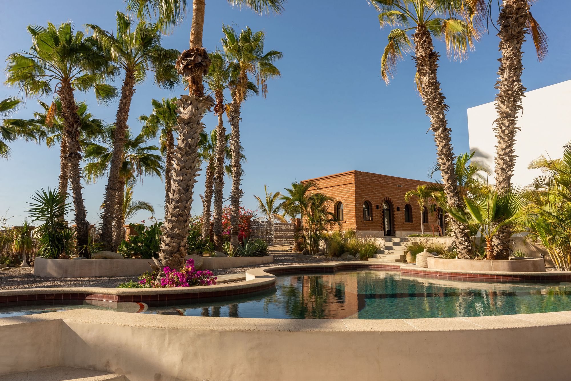 The saltwater pool at Casa del Arte with the brick arcade building and mature palms behind